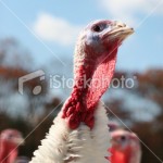 stock-photo-8057072-above-all